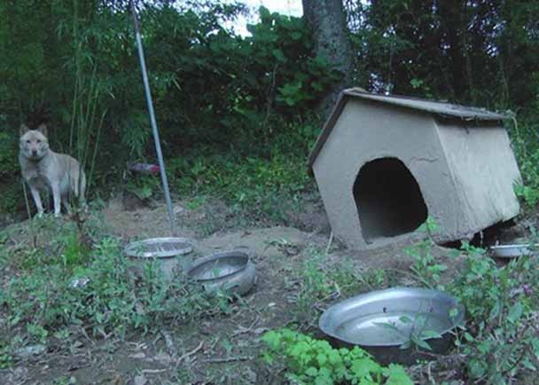 福島警戒区域の現実を後世に伝える ドキュメンタリー映画 飯舘村の動物たち 仮 製作プロジェクト クラウドファンディングのmotiongallery